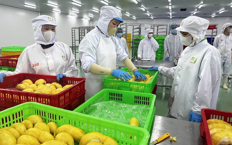 Khoa học, công nghệ là 'chìa khóa' chuyển đổi mô hình tăng trưởng nông nghiệp