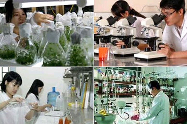 Kết luận Phiên họp lần thứ ba năm 2026 của Ban Chỉ đạo của Chính phủ về phát triển khoa học, công nghệ, đổi mới sáng tạo, chuyển đổi số và Đề án 06- Ảnh 1.