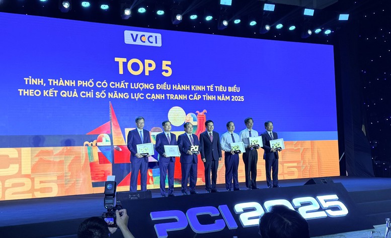 Lần đầu tiên công bố Chỉ số Hiệu quả Kinh tế tư nhân: TPHCM dẫn đầu - Ảnh 2.