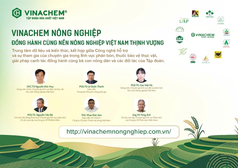 Vinachem chuẩn bị ra mắt nền tảng tri thức số 'Vinachem Nông nghiệp'- Ảnh 2.