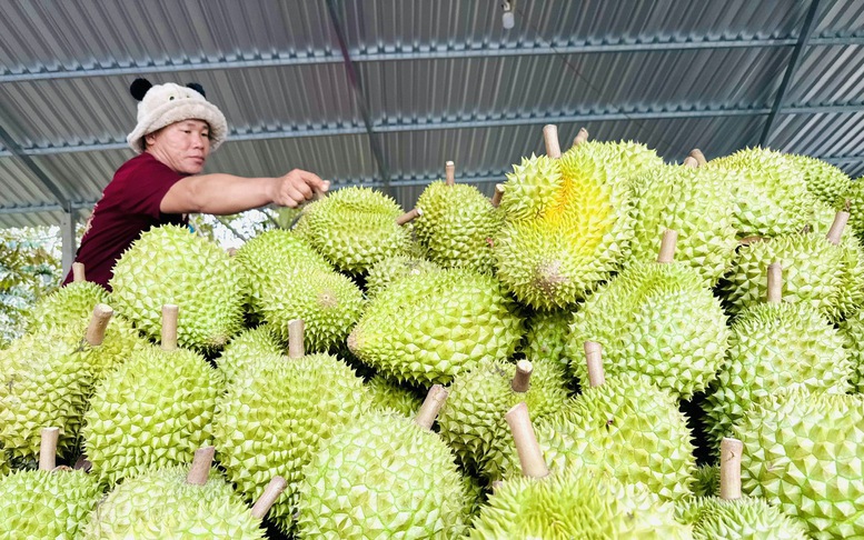Gỡ 