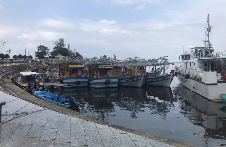 Tăng tốc gỡ 'thẻ vàng' IUU: An Giang hỗ trợ tới 11 triệu đồng lắp đặt thiết bị tàu cá- Ảnh 1.
