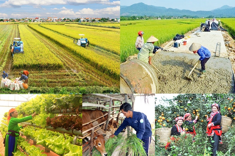 Đẩy nhanh tiến độ Chương trình MTQG xây dựng nông thôn mới, giảm nghèo bền vững và phát triển KTXH vùng DTTS&MN- Ảnh 1.