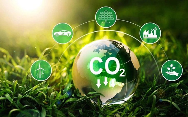 Nguyên tắc cung ứng và sử dụng dịch vụ hấp thụ và lưu giữ carbon của rừng