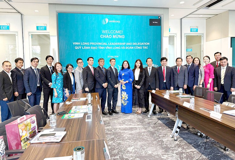 Vĩnh Long xúc tiến hợp tác với Sembcorp, gợi mở phát triển khu công nghiệp nông nghiệp công nghệ cao- Ảnh 2.