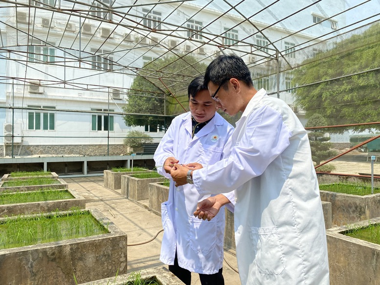 KHCN trong nông nghiệp: Chuyển từ tư duy 'làm đề tài' sang 'tạo sản phẩm'- Ảnh 1.