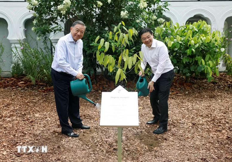 Tổng Bí thư, Chủ tịch nước Tô Lâm trồng cây tại Vườn Bách thảo Singapore- Ảnh 1.