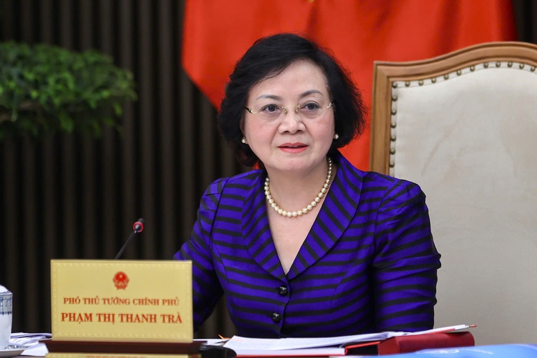 Kiện toàn thành viên Ban Chỉ đạo quốc gia về phát triển ngành Dược Việt Nam- Ảnh 1.