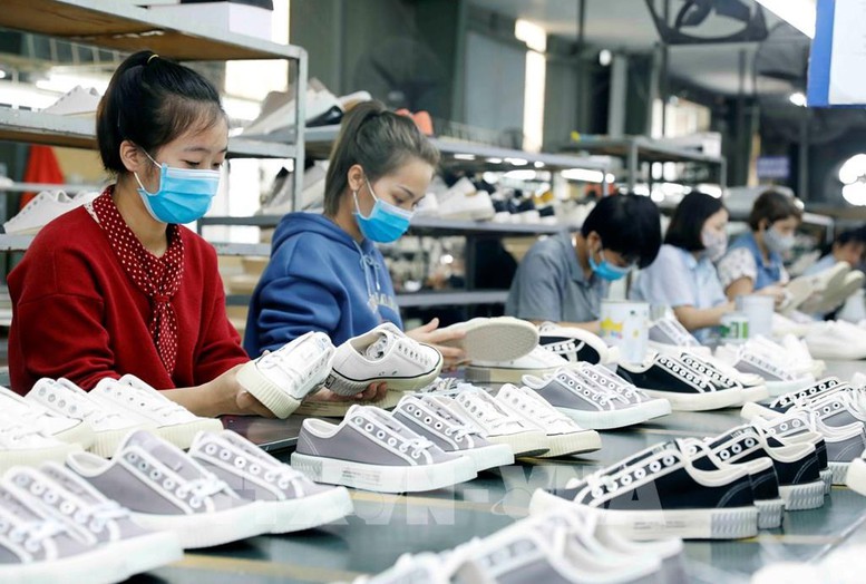 Đưa hợp tác thương mại, đầu tư Việt Nam - Ấn Độ sang giai đoạn mới- Ảnh 1.