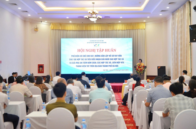 Quỹ Hỗ trợ phát triển Hợp tác xã: “Đòn bẩy” tài chính thúc đẩy kinh tế tập thể bứt phá- Ảnh 1.
