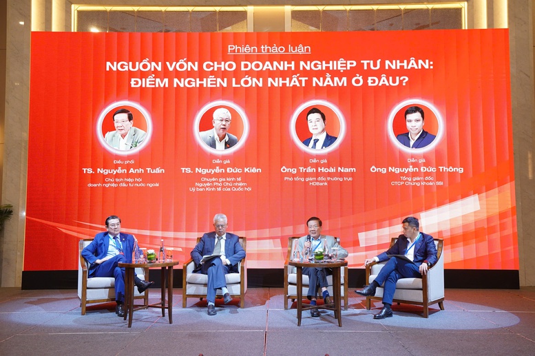 Tái cấu trúc dòng vốn cho kinh tế tư nhân phát triển bền vững- Ảnh 1.