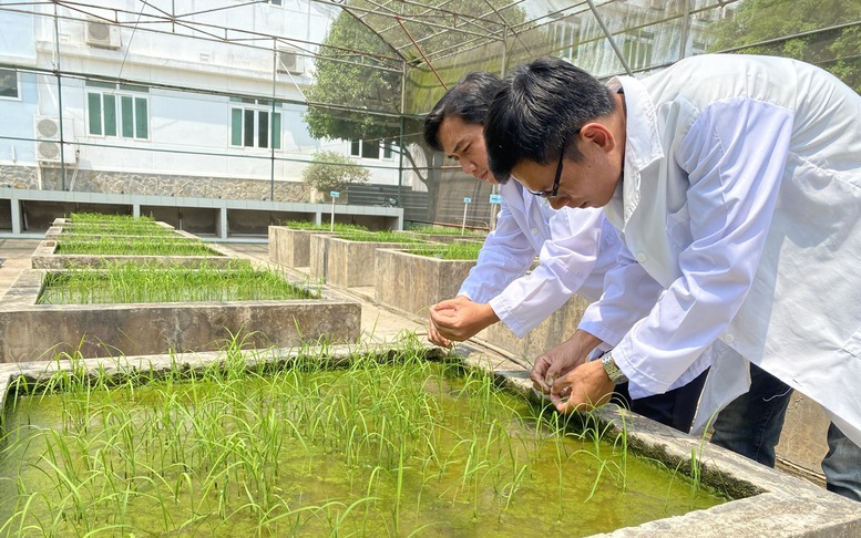 Khoa học công nghệ và hệ sinh thái giống: Đưa nông nghiệp Việt ra thế giới