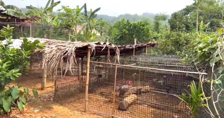 ‘Xã không ma túy’: Những nỗ lực âm thầm và cuộc đời tái sinh- Ảnh 5.