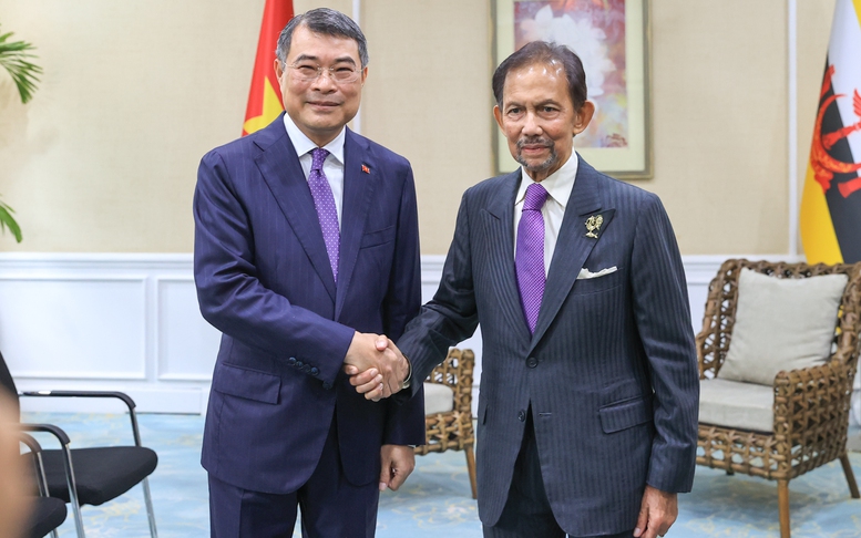 Thủ tướng Lê Minh Hưng hội kiến Quốc vương Brunei