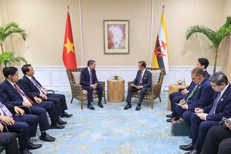 Thủ tướng Lê Minh Hưng hội kiến Quốc vương Brunei- Ảnh 3.