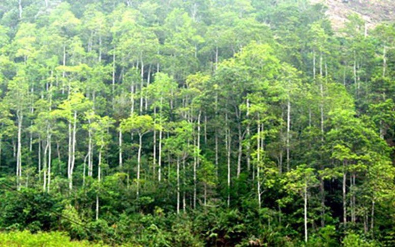 Chỉ đạo, điều hành của Chính phủ, Thủ tướng Chính phủ ngày 7/5/2026
