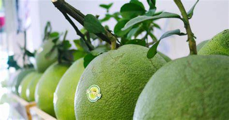 Đổi mới sáng tạo: Đưa xuất khẩu hoa quả Việt Nam vươn tầm thế giới- Ảnh 1.