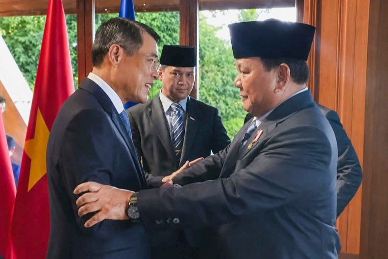 Thủ tướng Lê Minh Hưng gặp Tổng thống Indonesia- Ảnh 1.