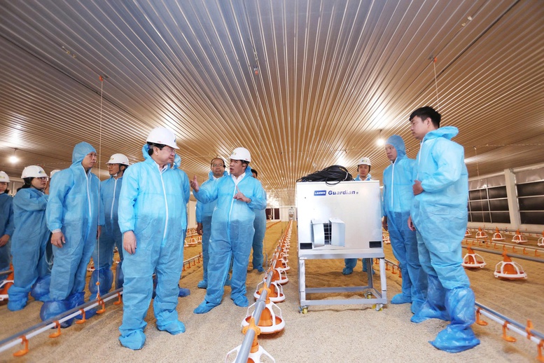 Dự án DHN Tây Ninh 2 - động lực mới cho ngành chăn nuôi công nghệ cao- Ảnh 1. Dự án DHN Tây Ninh 2 - động lực mới cho ngành chăn nuôi công nghệ cao- Ảnh 1.