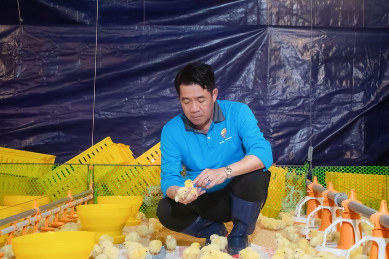 Vận hành tổ hợp chăn nuôi gà thịt quy mô hàng đầu Đông Nam Á tại Tây Ninh- Ảnh 3.