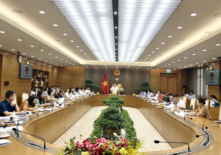 Phó Thủ tướng Lê Tiến Châu chủ trì họp rà soát 03 dự án luật- Ảnh 3.
