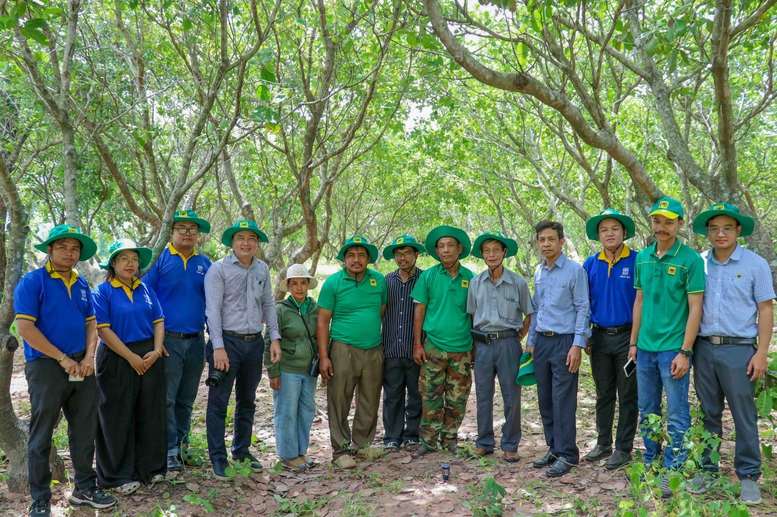 Bình Điền đưa giải pháp dinh dưỡng khoa học đến vùng điều Campuchia- Ảnh 2.