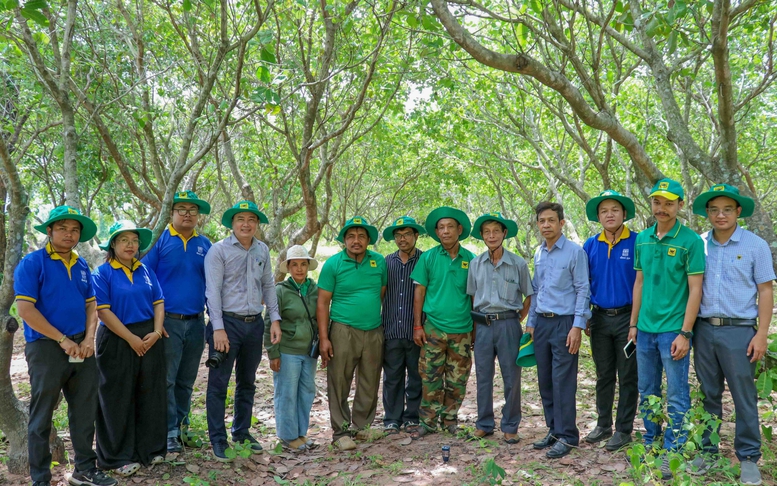 Bình Điền đưa giải pháp dinh dưỡng khoa học đến vùng điều Campuchia