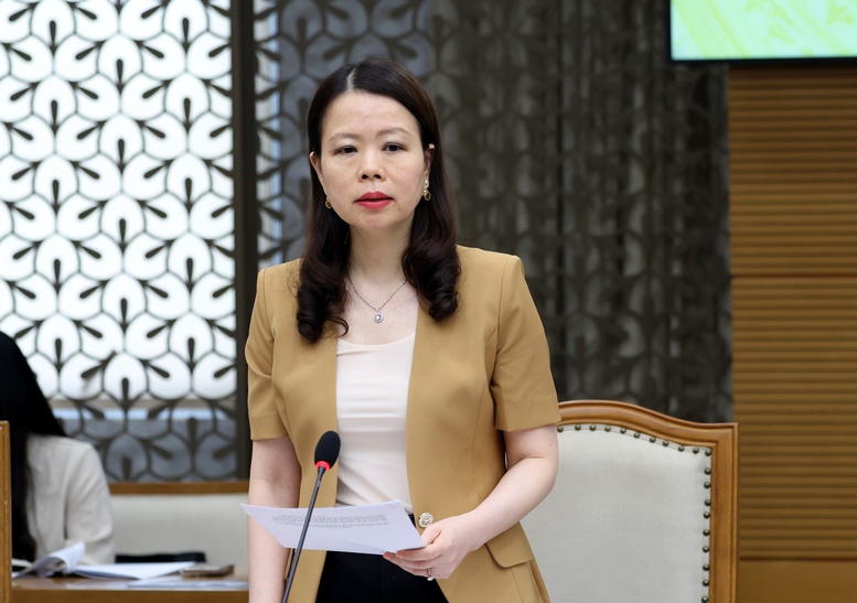 Phó Thủ tướng Nguyễn Văn Thắng: Ưu tiên ODA cho các dự án lớn- Ảnh 4.