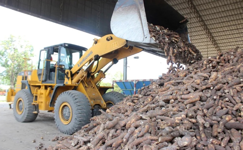 Xăng E10: Cơ hội "đánh thức" vùng nguyên liệu tỷ đô- Ảnh 1.