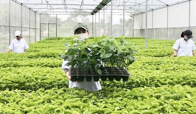 Chỉ đạo, điều hành của Chính phủ, Thủ tướng Chính phủ ngày 19/6/2026- Ảnh 2.