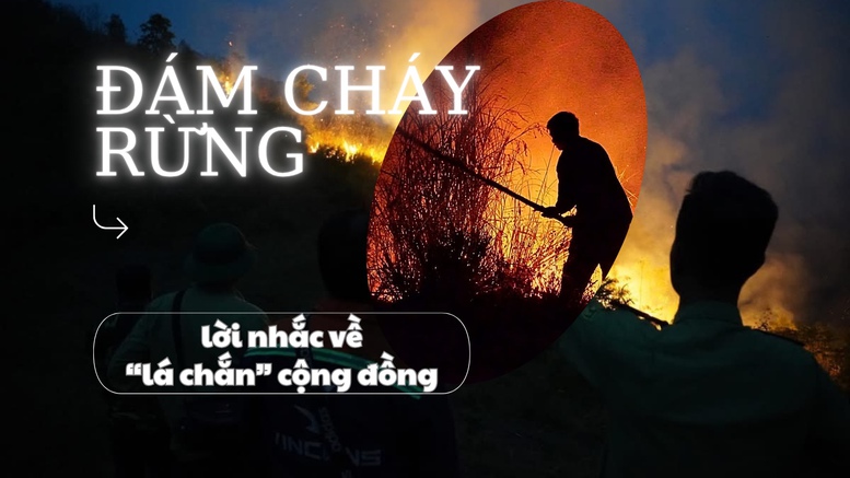 Đám cháy rừng và lời nhắc về ‘lá chắn’ cộng đồng- Ảnh 1. Đám cháy rừng và lời nhắc về ‘lá chắn’ cộng đồng- Ảnh 1.
