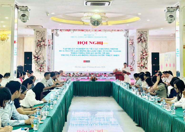 Chương trình phi lợi nhuận mở rộng cơ hội việc làm quốc tế cho lao động Việt Nam- Ảnh 2.