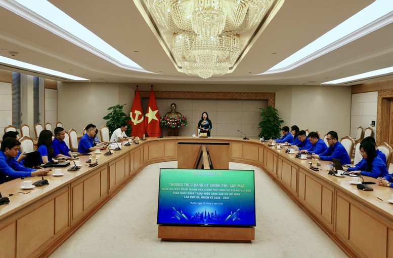 Phát huy vai trò tiên phong của tuổi trẻ, Đoàn Thanh niên Chính phủ trong giai đoạn phát triển mới- Ảnh 3.