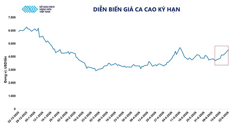 THỊ TRƯỜNG HÀNG HÓA: Giá ca cao tăng vọt hơn 9% bất chấp áp lực điều chỉnh trên nhiều mặt hàng- Ảnh 2.