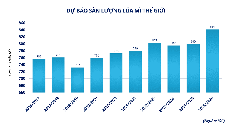THỊ TRƯỜNG HÀNG HÓA: Giá ca cao tăng vọt hơn 9% bất chấp áp lực điều chỉnh trên nhiều mặt hàng- Ảnh 3.