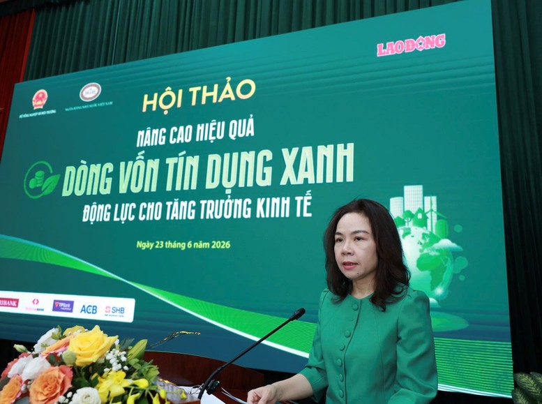 Tín dụng xanh mở dòng vốn mới cho hành trình tăng trưởng bền vững- Ảnh 2.