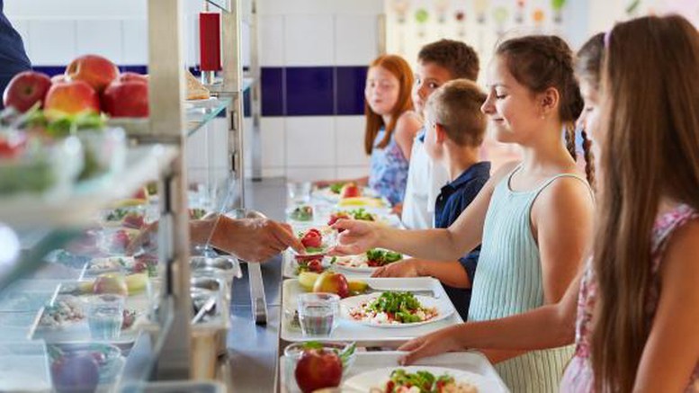 Nhiều nước siết chặt quản lý bữa ăn học đường- Ảnh 1.