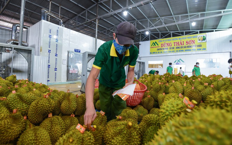 Đưa thương mại nông sản Việt Nam - Trung Quốc lên tầm cao mới