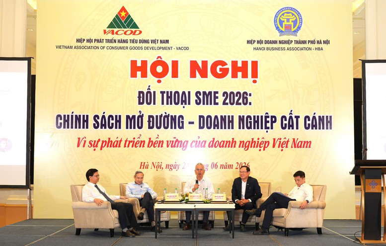 Chính sách mở đường, doanh nghiệp nhỏ tìm cơ hội cất cánh- Ảnh 1.