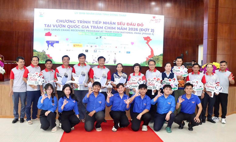 Đồng Tháp: Những cánh Sếu đầu đỏ trở lại Tràm Chim- Ảnh 2.