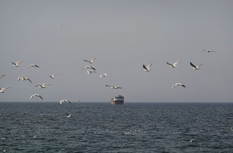 IMO nối lại chiến dịch giải cứu thủy thủ mắc kẹt tại eo biển Hormuz- Ảnh 1.