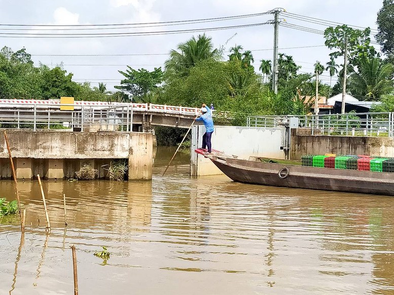 Chương trình hành động của Chính phủ phòng, chống sạt lở, ngập úng, hạn hán, xâm nhập mặn vùng ĐBSCL- Ảnh 1.