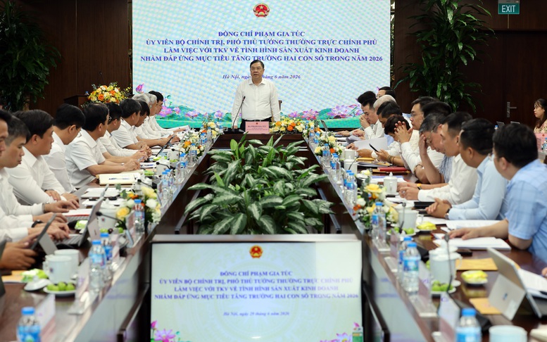 Phó Thủ tướng Thường trực Phạm Gia Túc làm việc với TKV về thúc đẩy tăng trưởng hai con số- Ảnh 5.