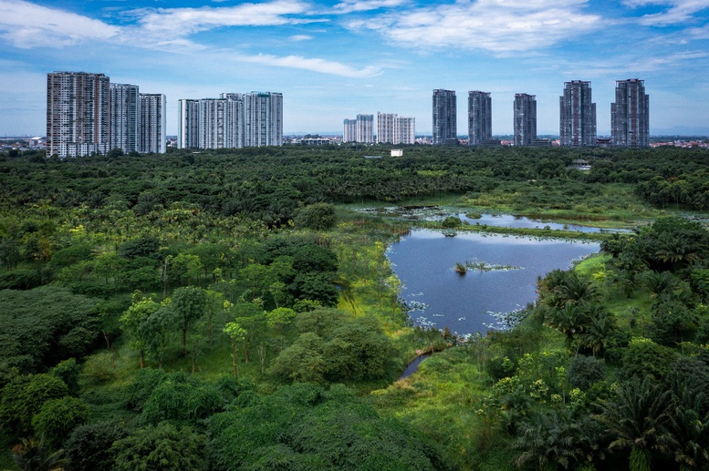 Nhà sáng lập Ecopark lập cú đúp tại Giải thưởng Quốc gia Bất động sản Việt Nam lần thứ II- Ảnh 2.