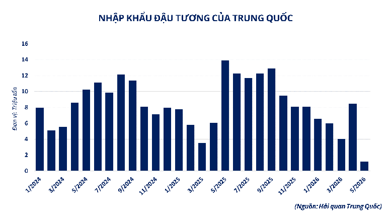 THỊ TRƯỜNG HÀNG HÓA: MXV-Index giảm nhẹ, dòng tiền tập trung vào nhóm họ đậu và cà phê- Ảnh 3.