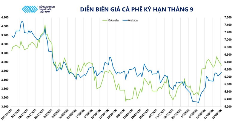 THỊ TRƯỜNG HÀNG HÓA: MXV-Index giảm nhẹ, dòng tiền tập trung vào nhóm họ đậu và cà phê- Ảnh 4.