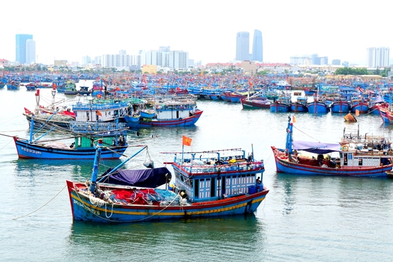 Chỉ đạo, điều hành của Chính phủ, Thủ tướng Chính phủ ngày 30/6/2026- Ảnh 6.