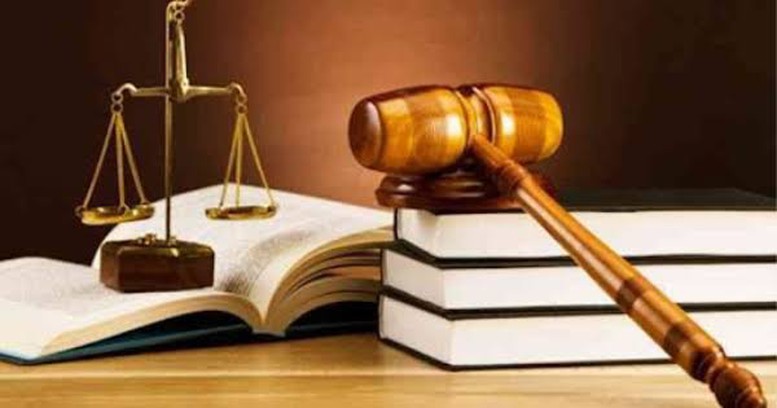 Chỉ đạo, điều hành của Chính phủ, Thủ tướng Chính phủ ngày 29/6/2026 (2)- Ảnh 1.