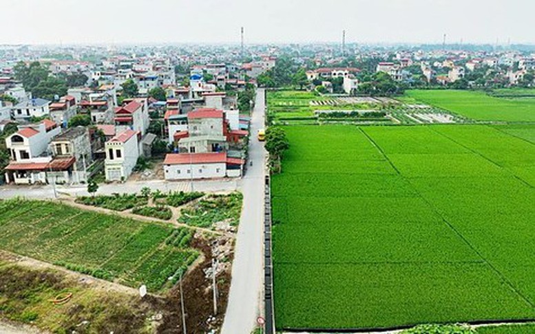 Đất lúa cạnh khu dân cư có được chuyển sang đất ở?