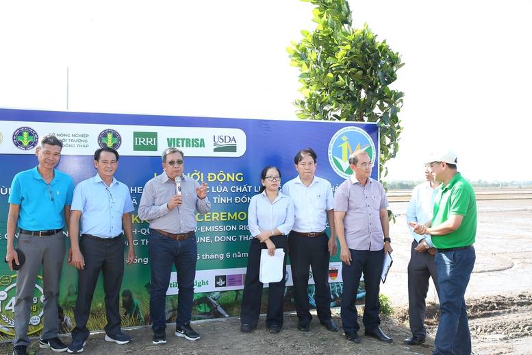 Vùng liên kết: 'Đầu kéo' mới cho Đề án 1 triệu ha lúa chất lượng cao ở ĐBSCL- Ảnh 1.